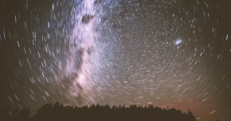 A captivating long-exposure shot of star trails and the Milky Way above silhouetted trees at night.