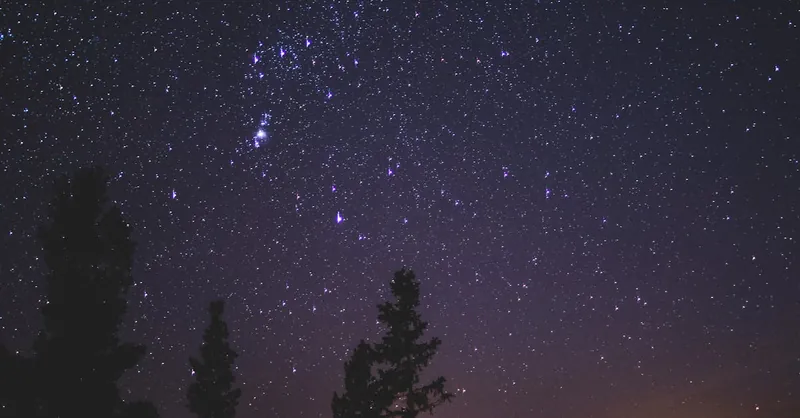 A serene night sky with visible constellations and silhouetted trees under a clear starry sky.