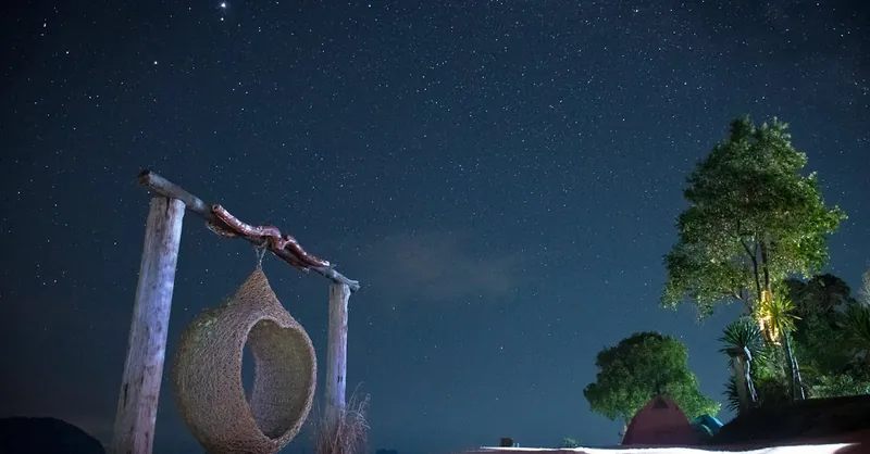 Serene night landscape with a starry sky and hanging rattan chair.