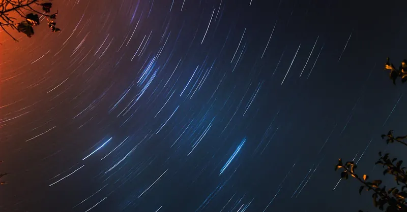 Capture of star trails creating circular patterns in a clear night sky, framed by tree branches.
