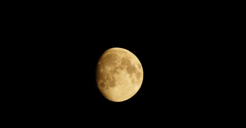 A clear and detailed photograph of the moon set against a dark sky, highlighting its surface features.